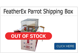parrot shipping box